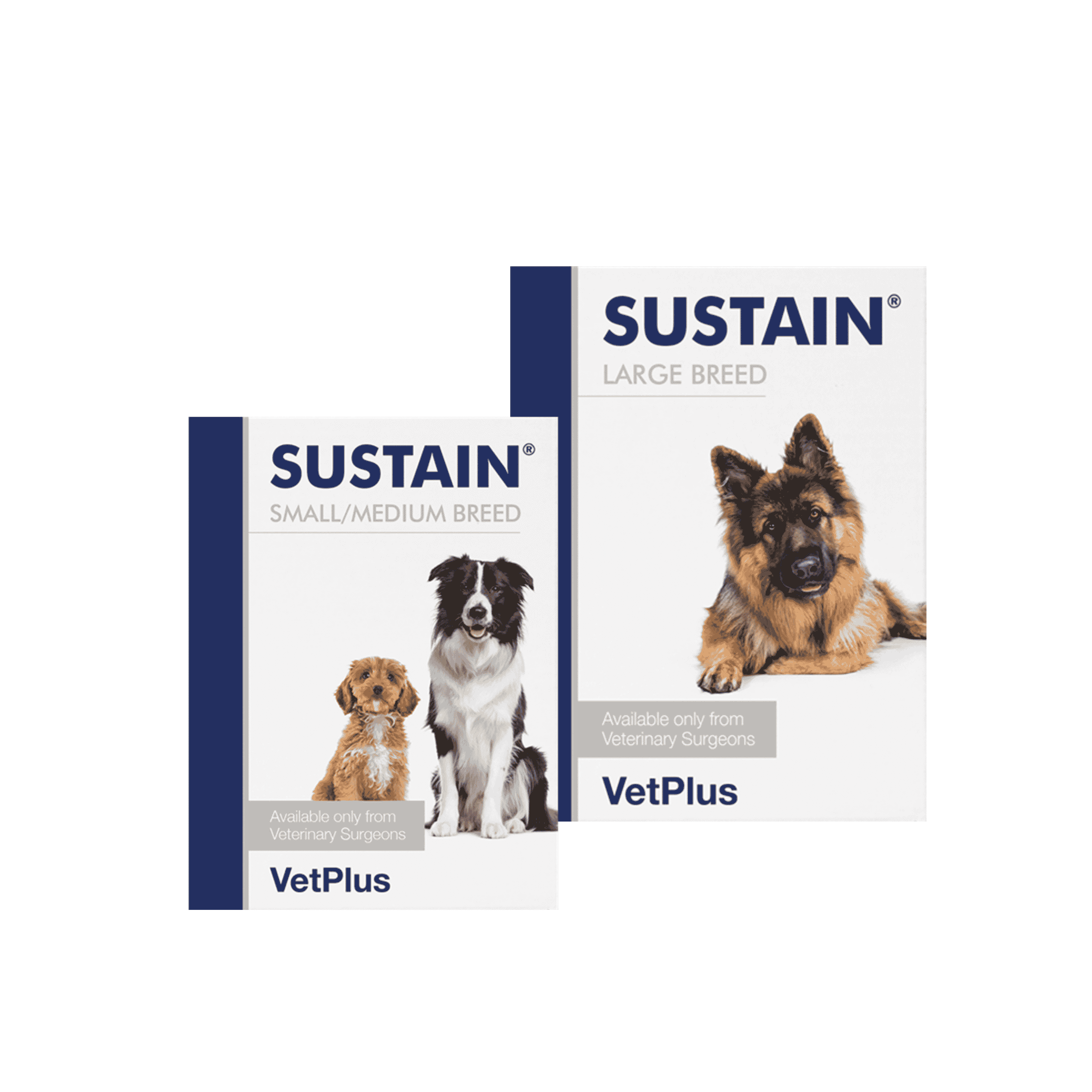 vetplus-sustain-small-medium-large-breed-prebiotica-weerstand