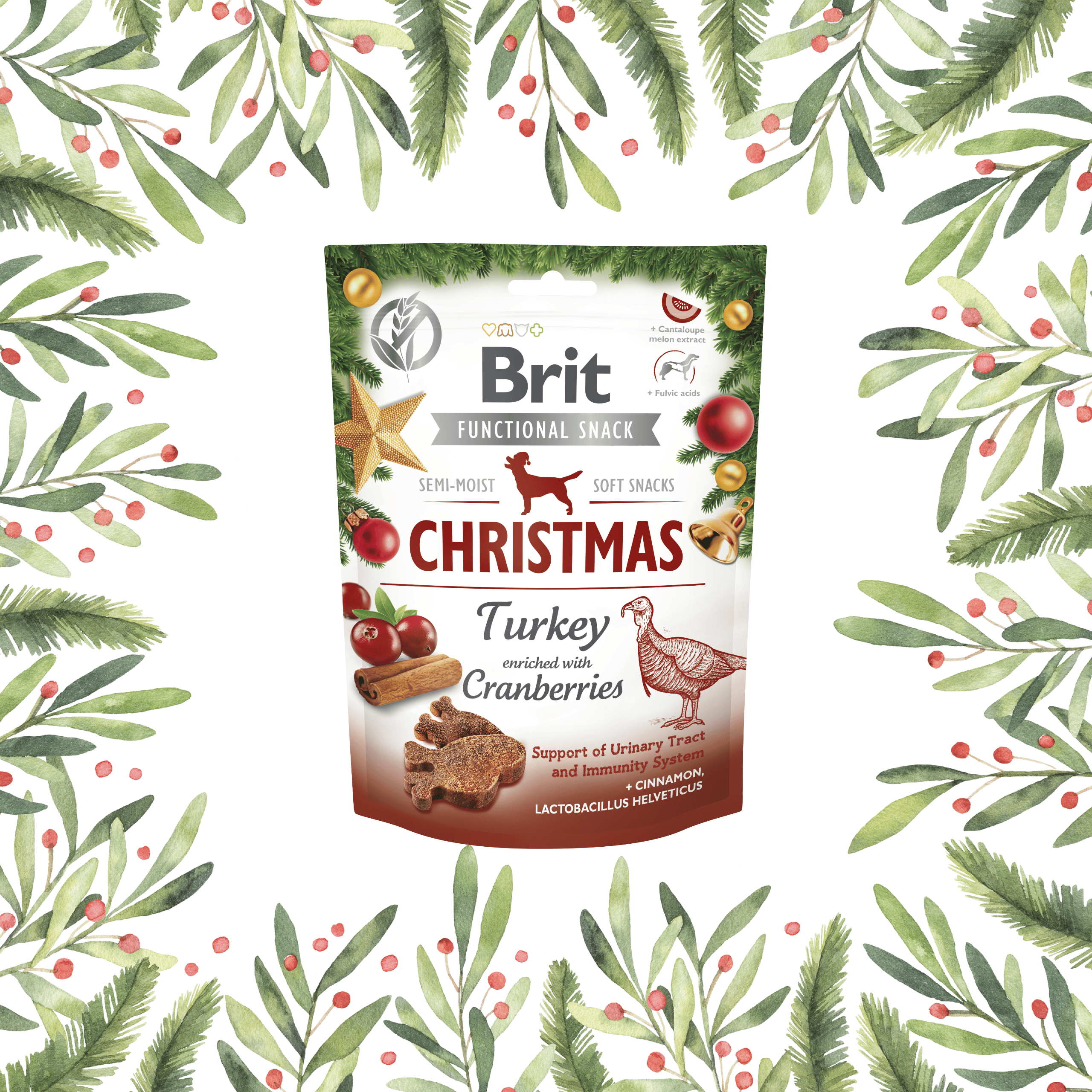 Brit Care Christmas Turkey soft snacks for dogs