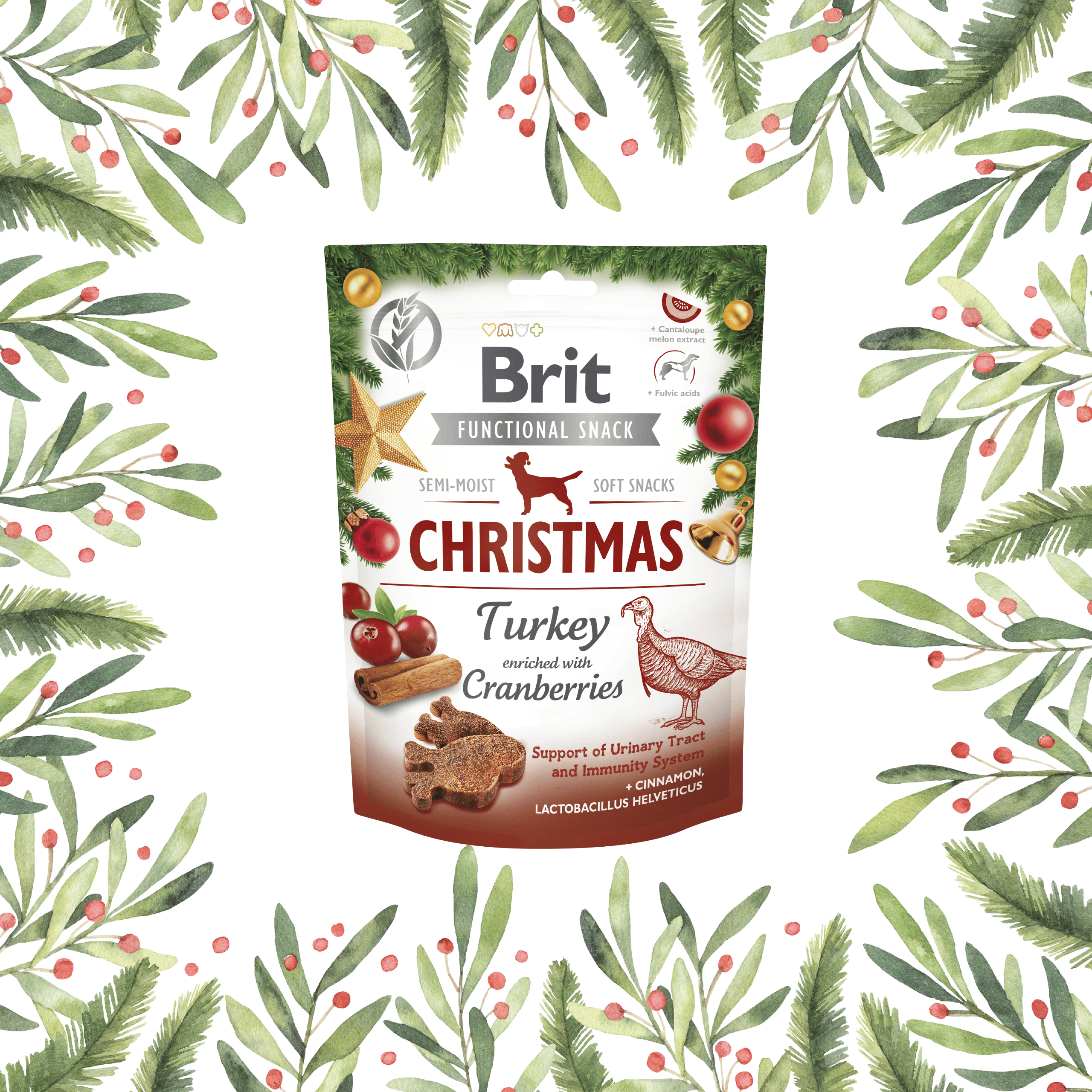 Brit Care Christmas Turkey soft snacks for dogs-1