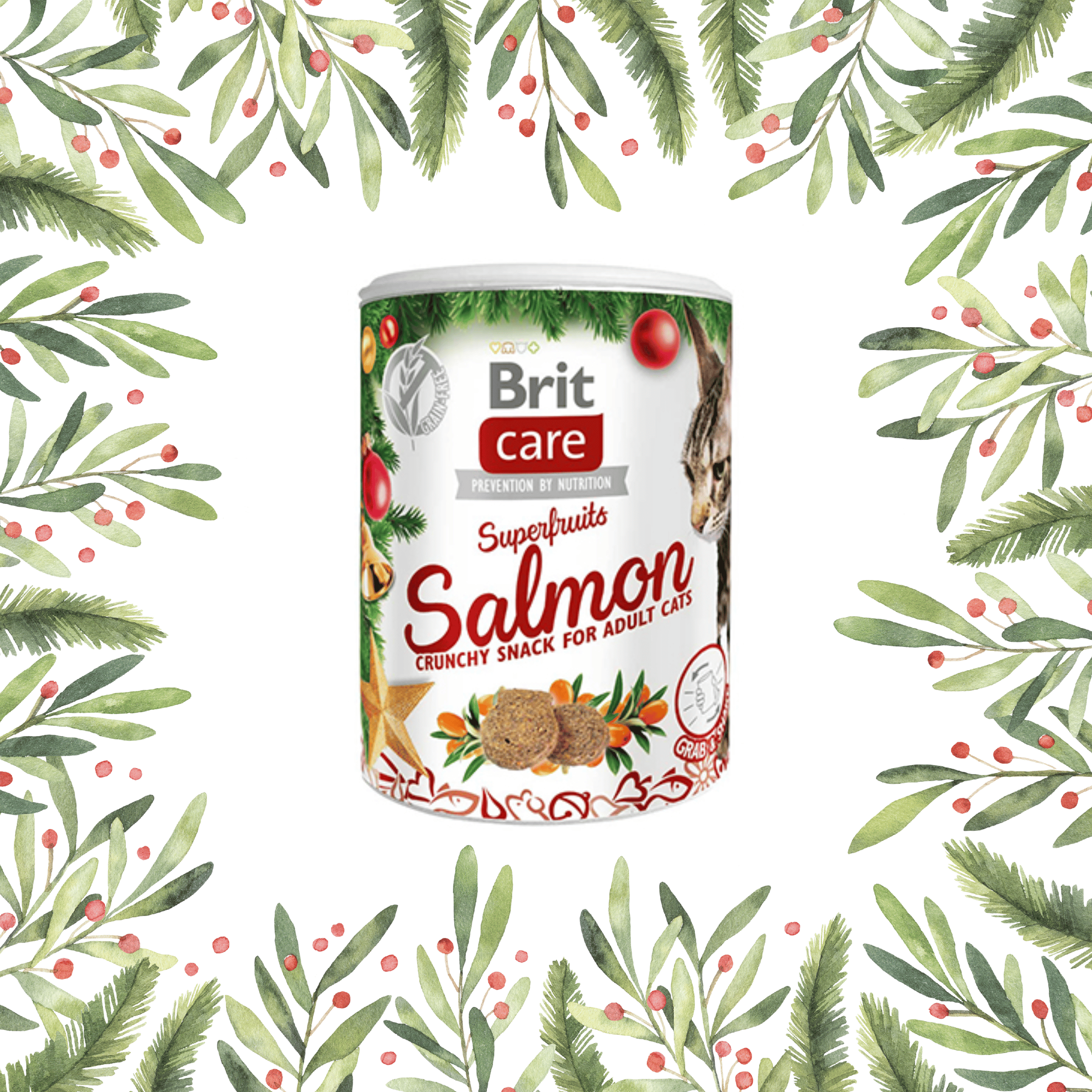 Brit Care Christmas Salmon snacks for cats-1
