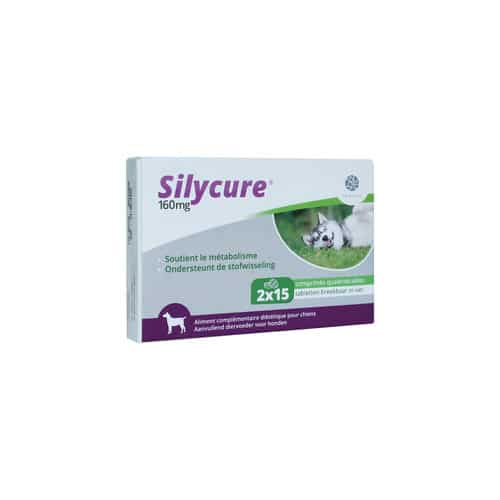 Silycure-4