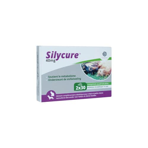 Silycure-5
