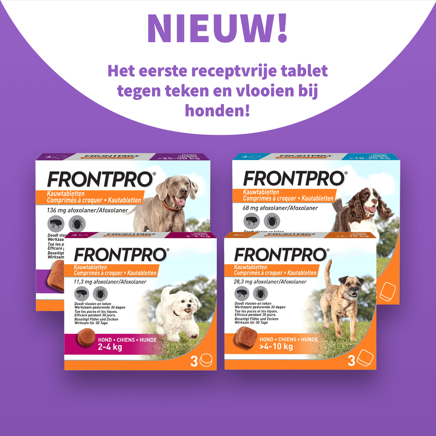 Nieuw! Frontpro kauwtabletten<br /><br />