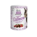 brit-care-superfruit-snacks-cat-salmon-100-gram