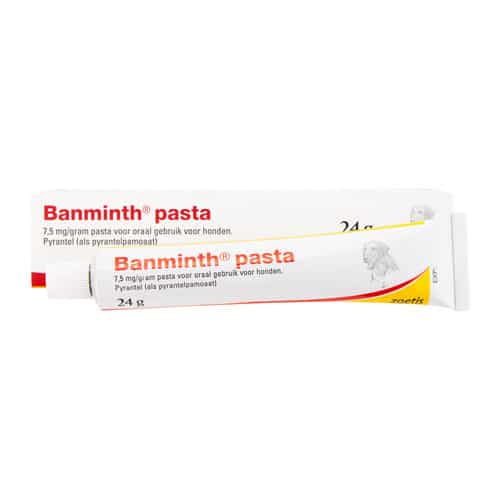 Banminth Pasta Hond-1