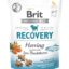 Brit – Functional Snacks Dog – Recovery