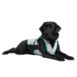 suitical-dry-cooling-vest-dog-hond