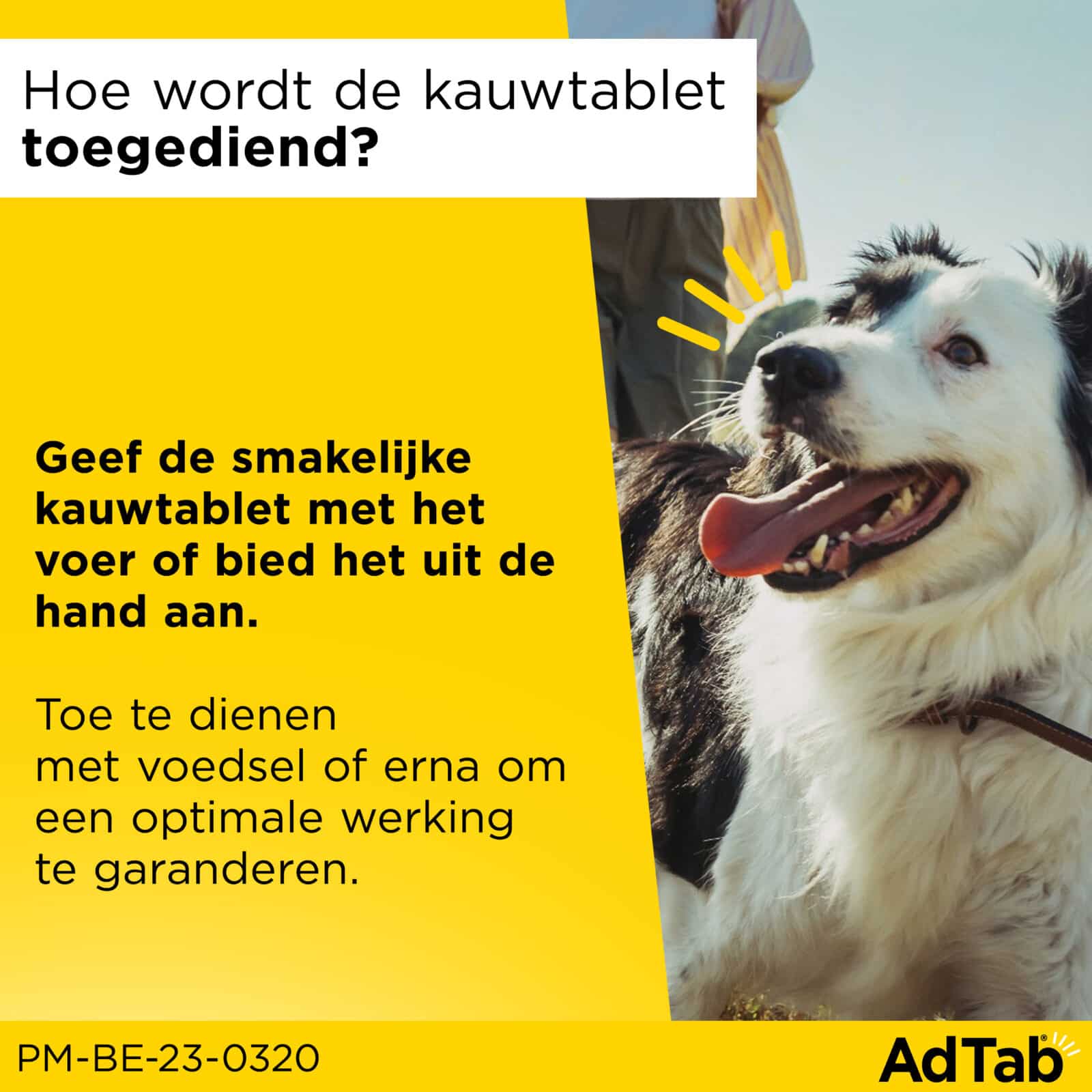 AdTab™  Kauwtabletten – Hond-4