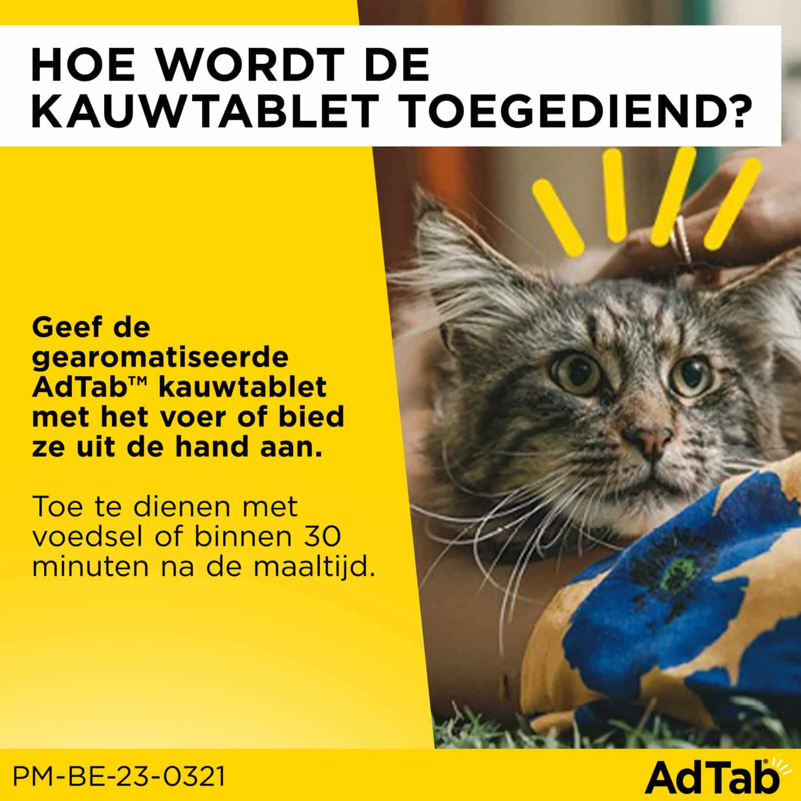 AdTab™  Kauwtabletten – Kat-3
