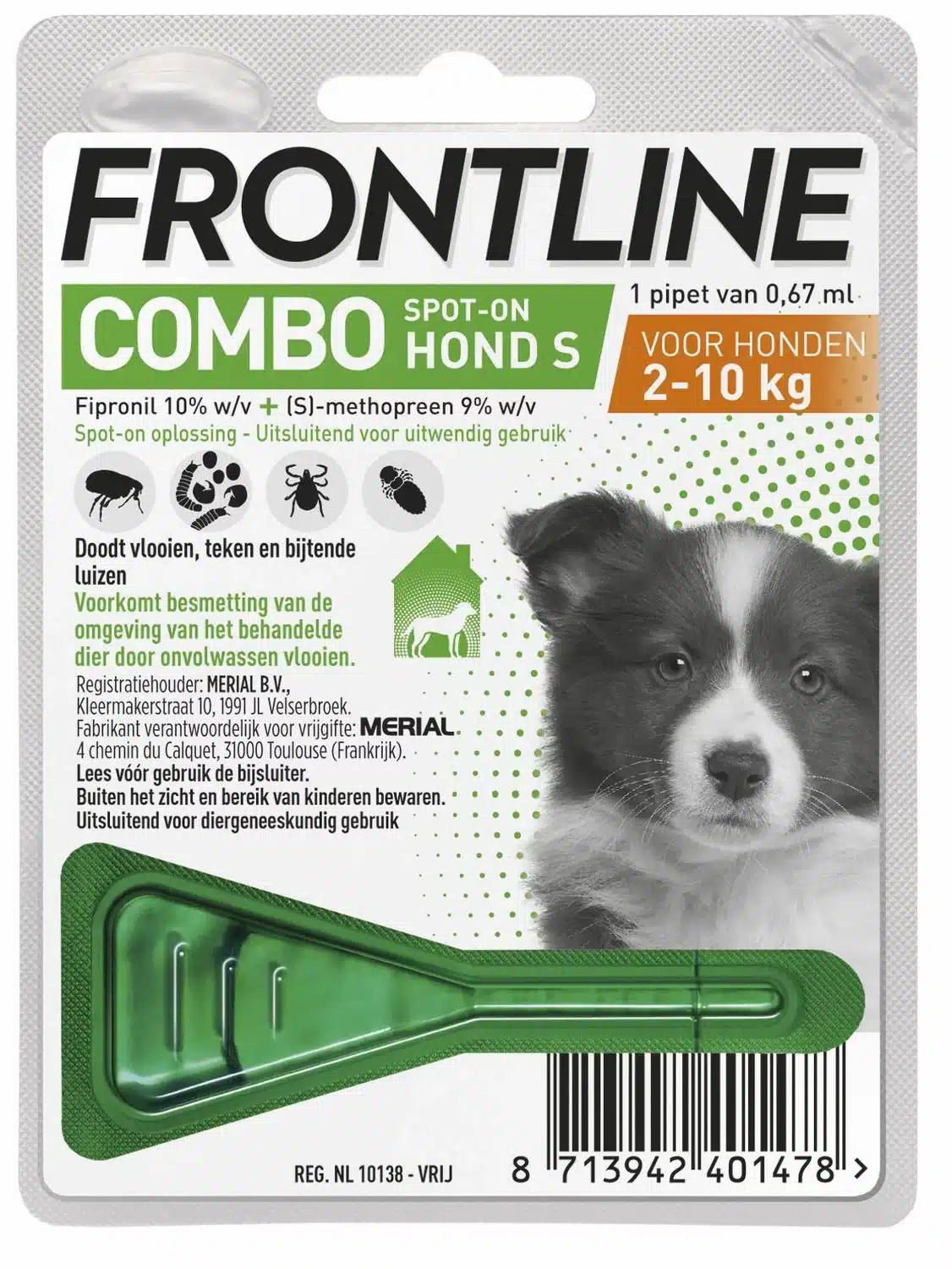 Frontline Combo hond-2