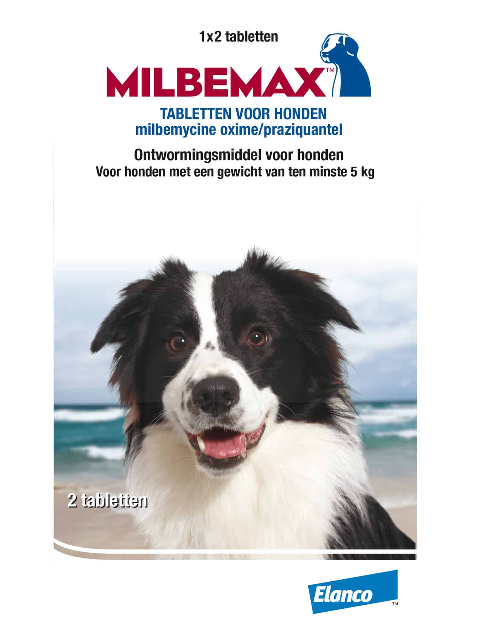 Milbemax Hond-5