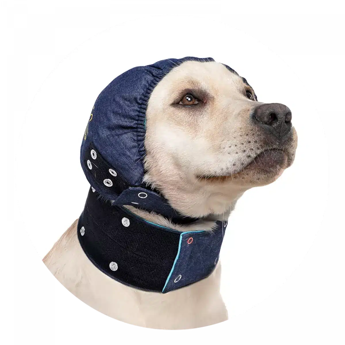 Medical Pet Shirt – Head Cover-1