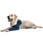 medical-pet-shirt-voorpootmouw-hond