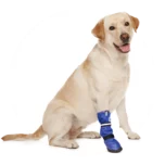 medical-pet-shirts-boot-hond