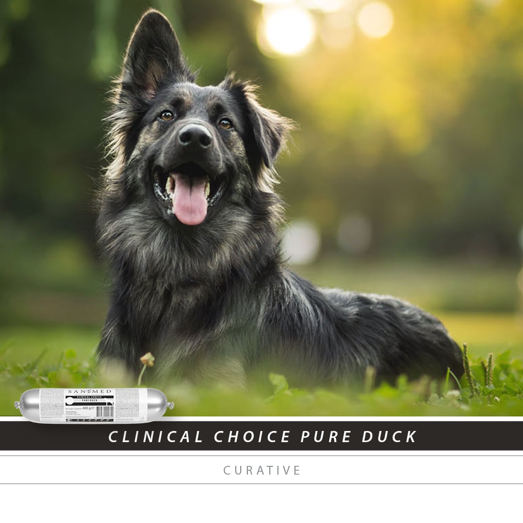 SANIMED Clinical Choice Pure Duck worst 15x-2