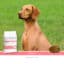 Sanimed Adult hond