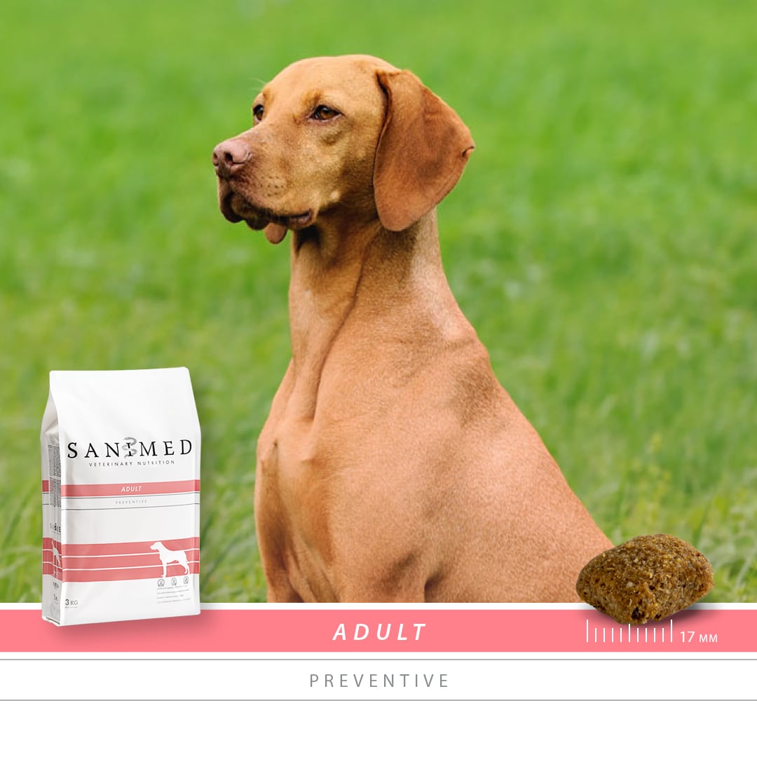 Sanimed Adult hond-2