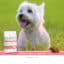 Sanimed Adult hond Small Breed 3kg