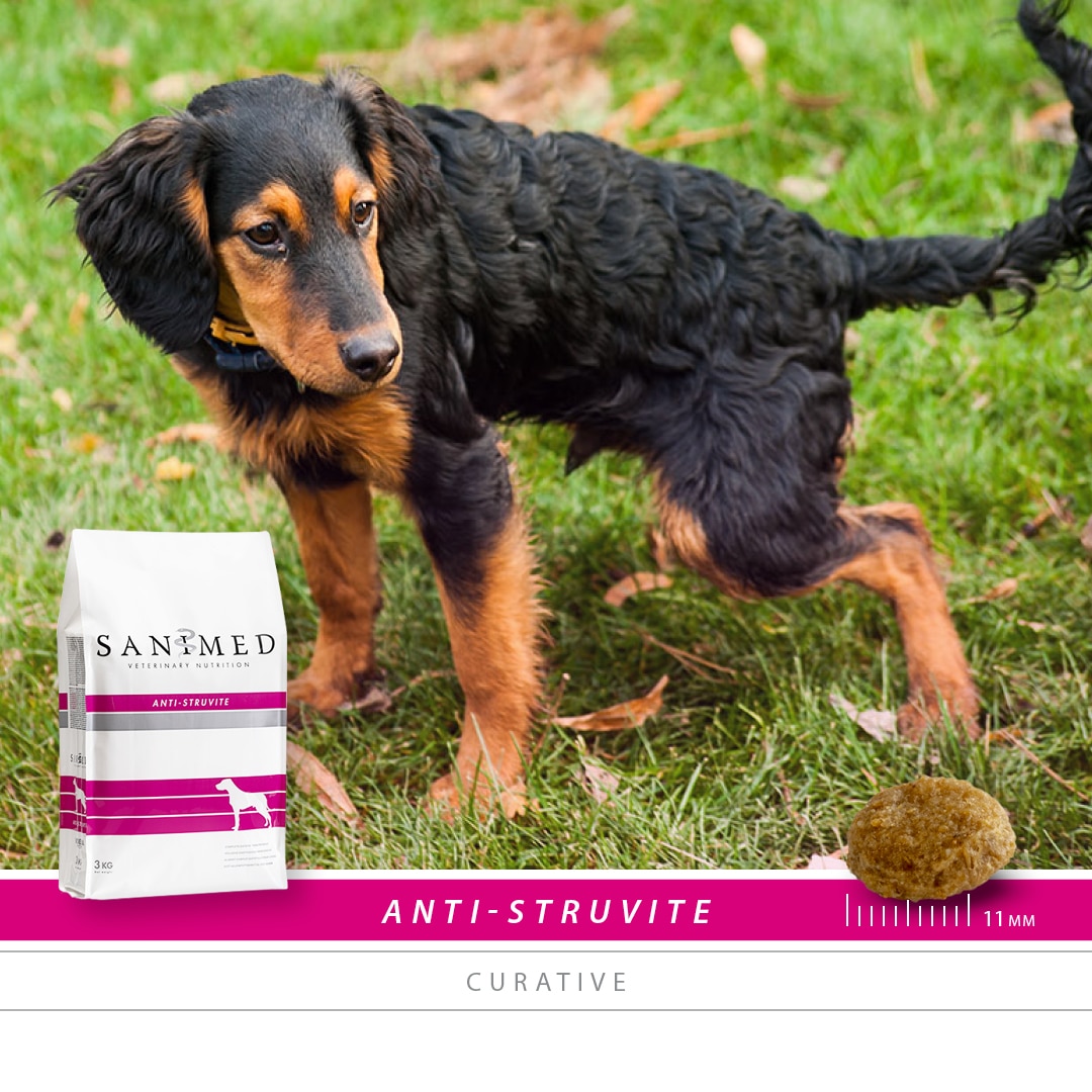 Sanimed Anti-Struvite Hond-2