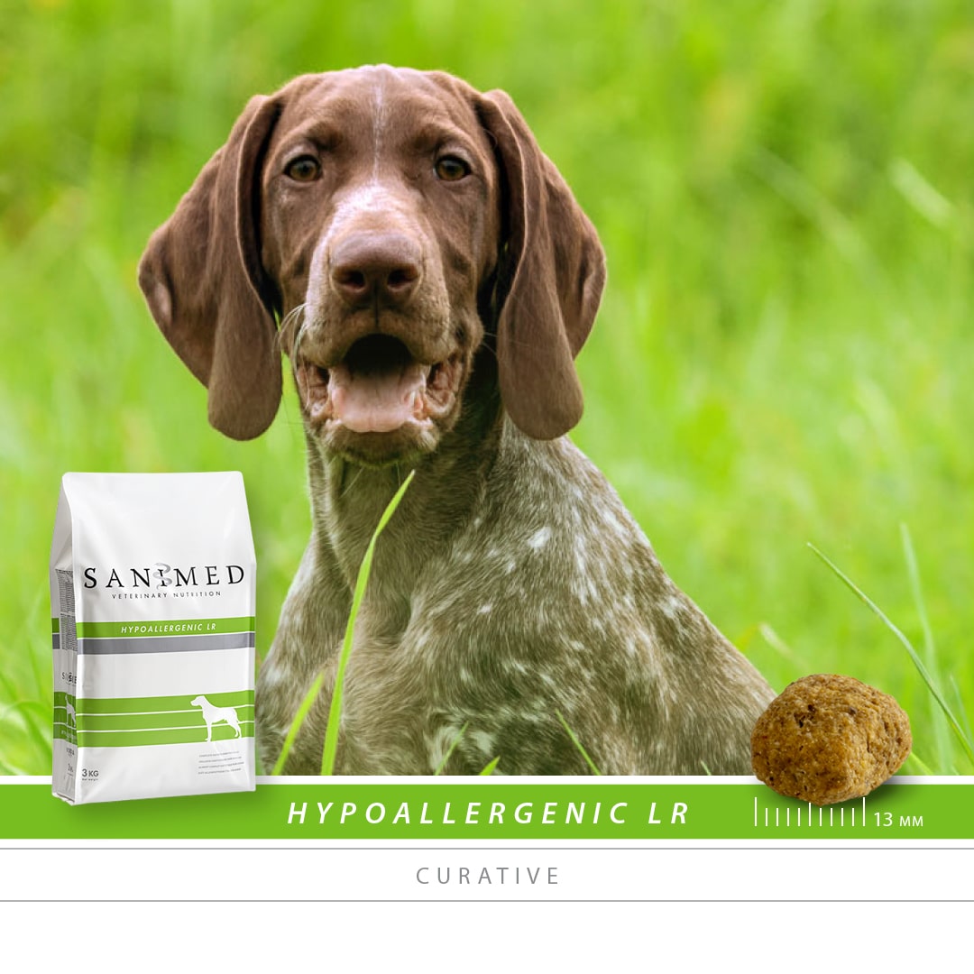 SANIMED Hypoallergenic LR hond-2