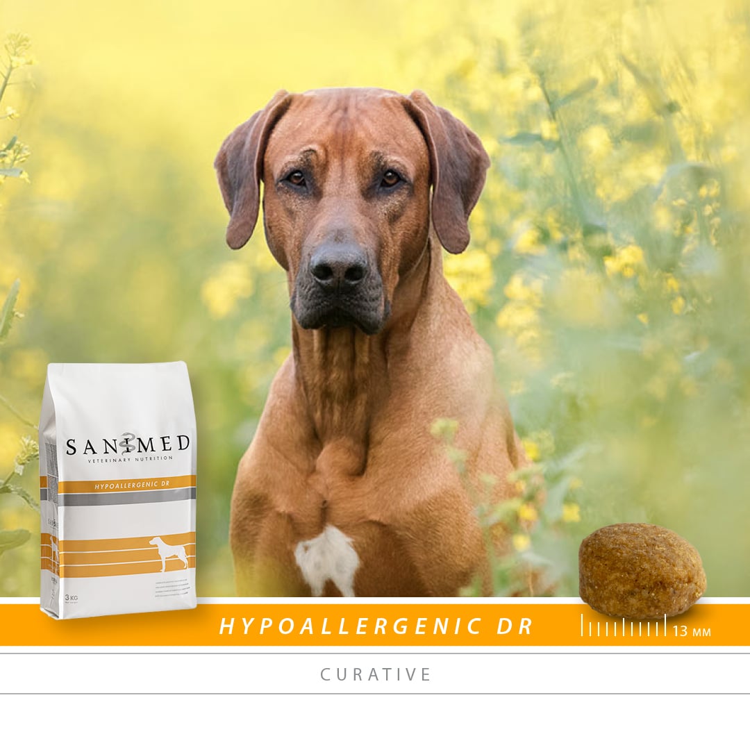 SANIMED Hypoallergenic DR hond-2