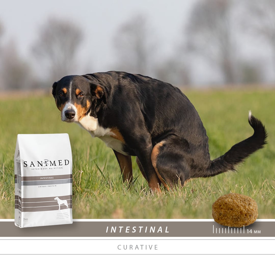 Sanimed Intestinal hond-2