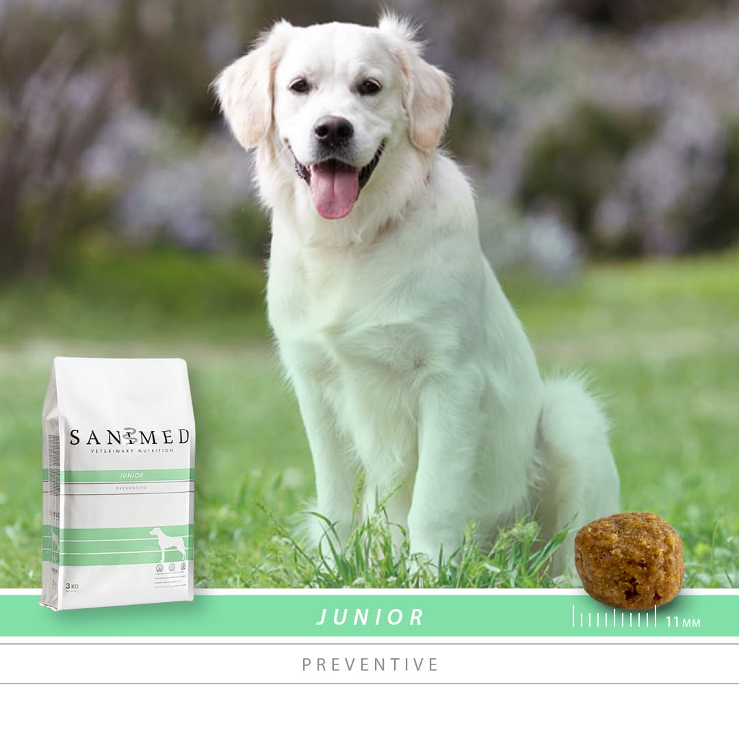 Sanimed Junior hond-2