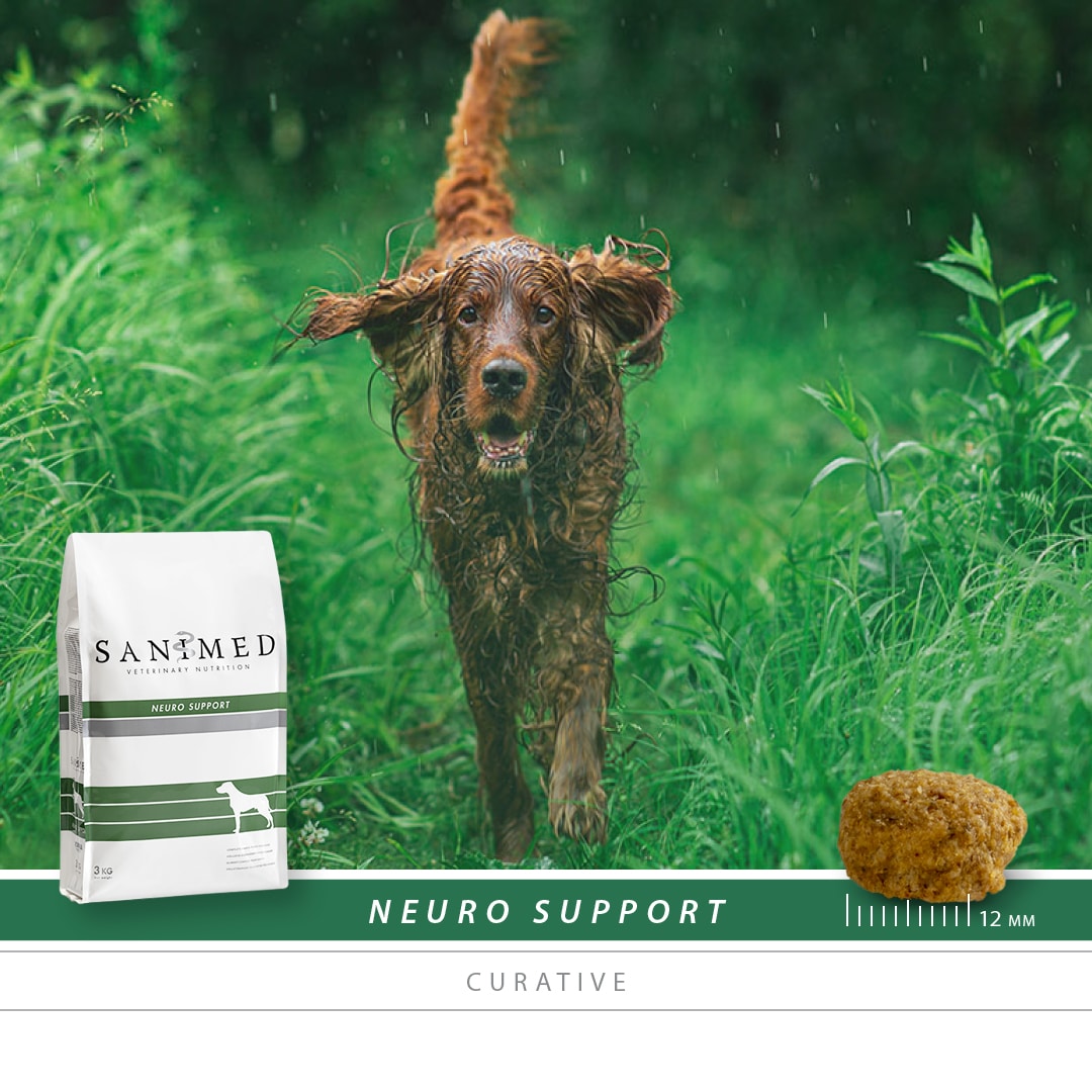 SANIMED Neuro Support hond-2