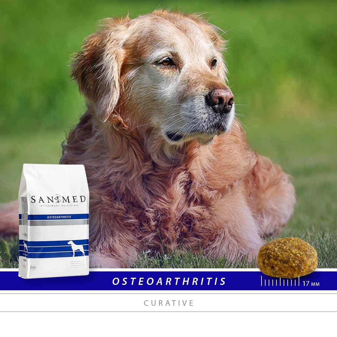 SANIMED Osteoarthritis hond-2