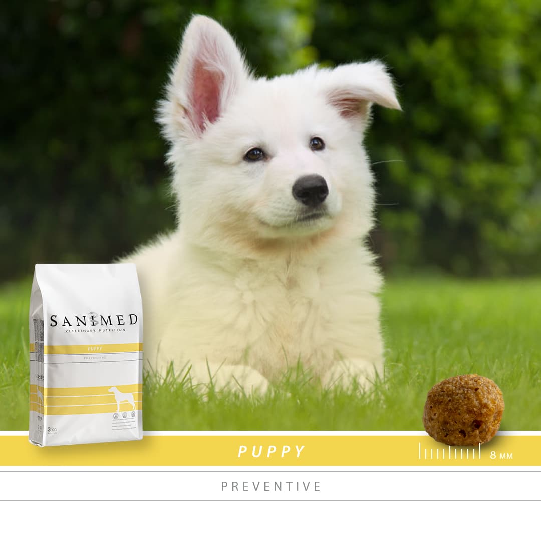 Sanimed Puppy-2