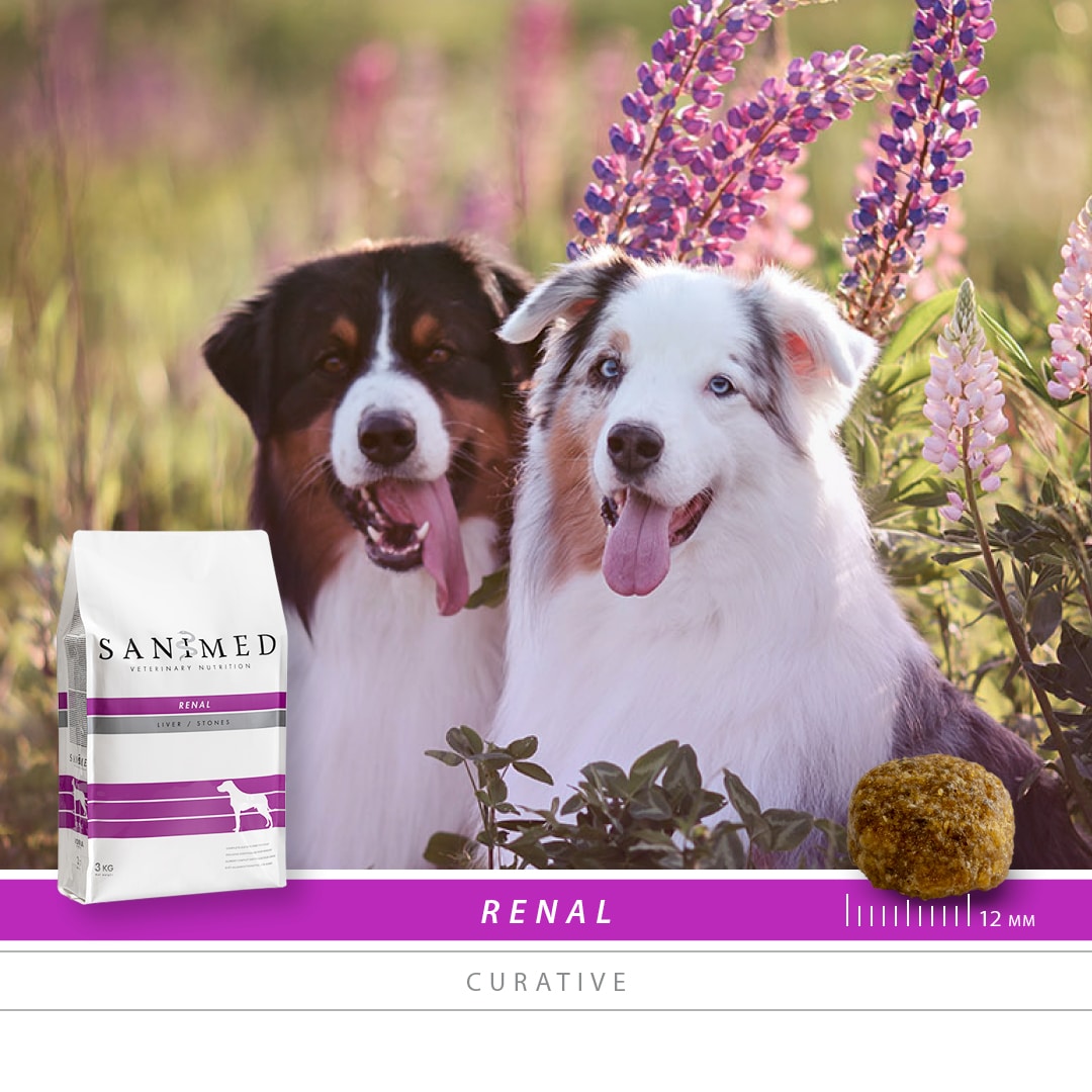 SANIMED Renal hond-2