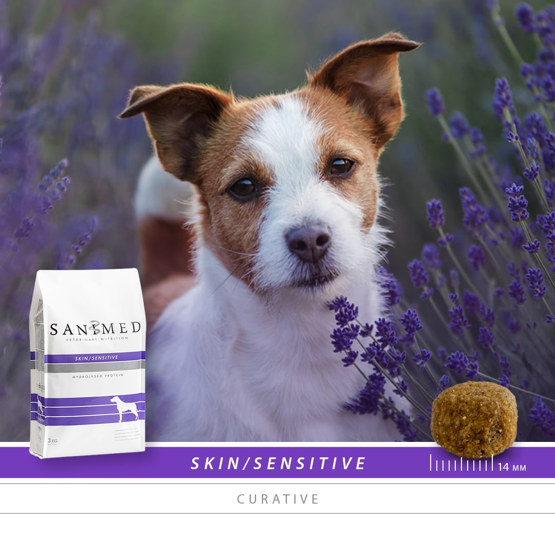 SANIMED Skin/Sensitive hond-2