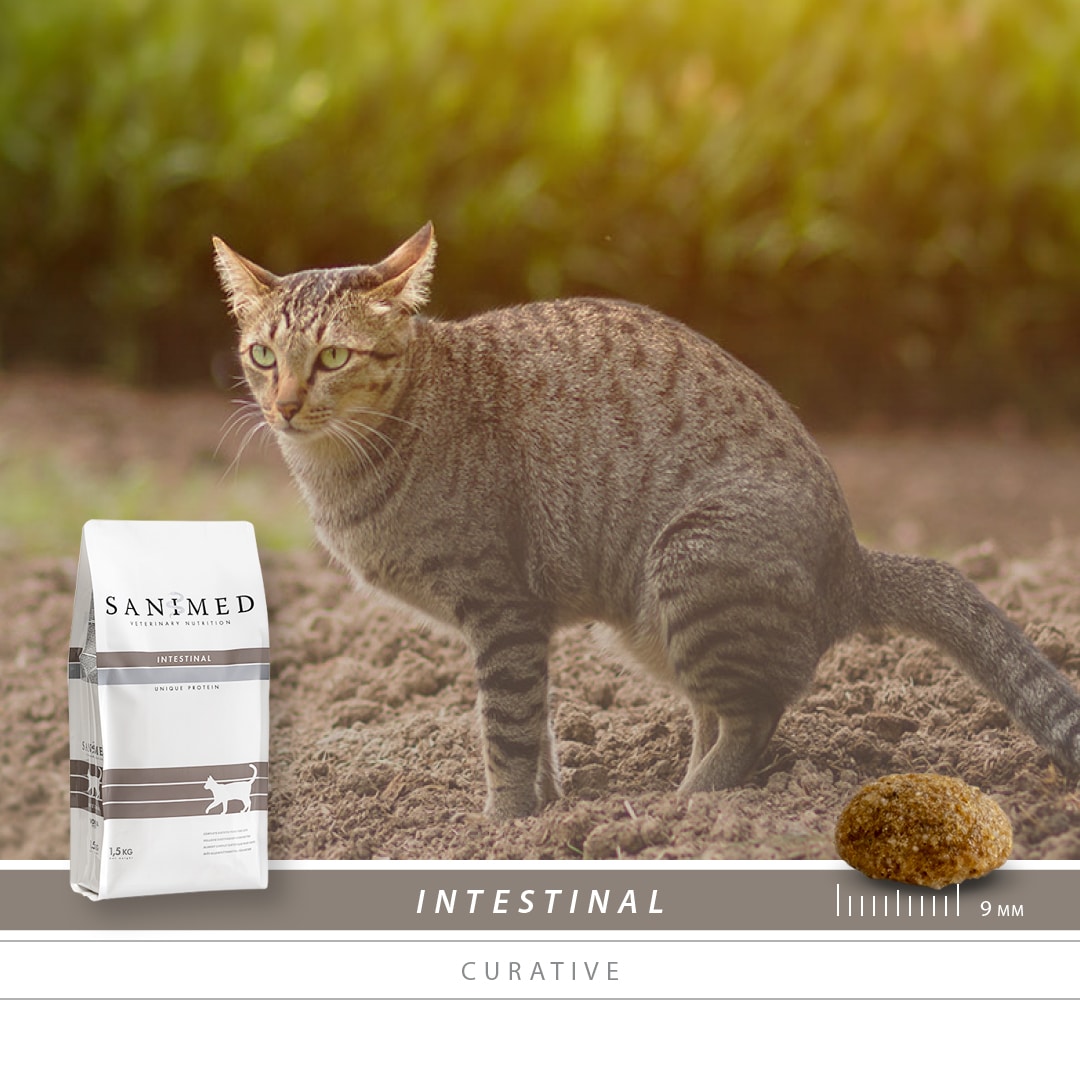 SANIMED Intestinal kat 4,5kg-2