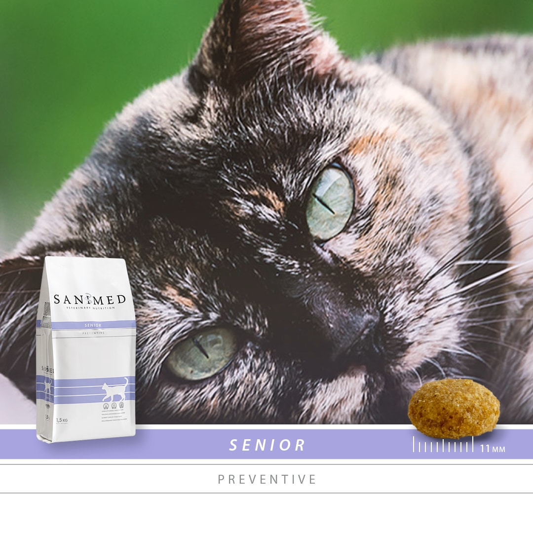 Sanimed Senior kat-2