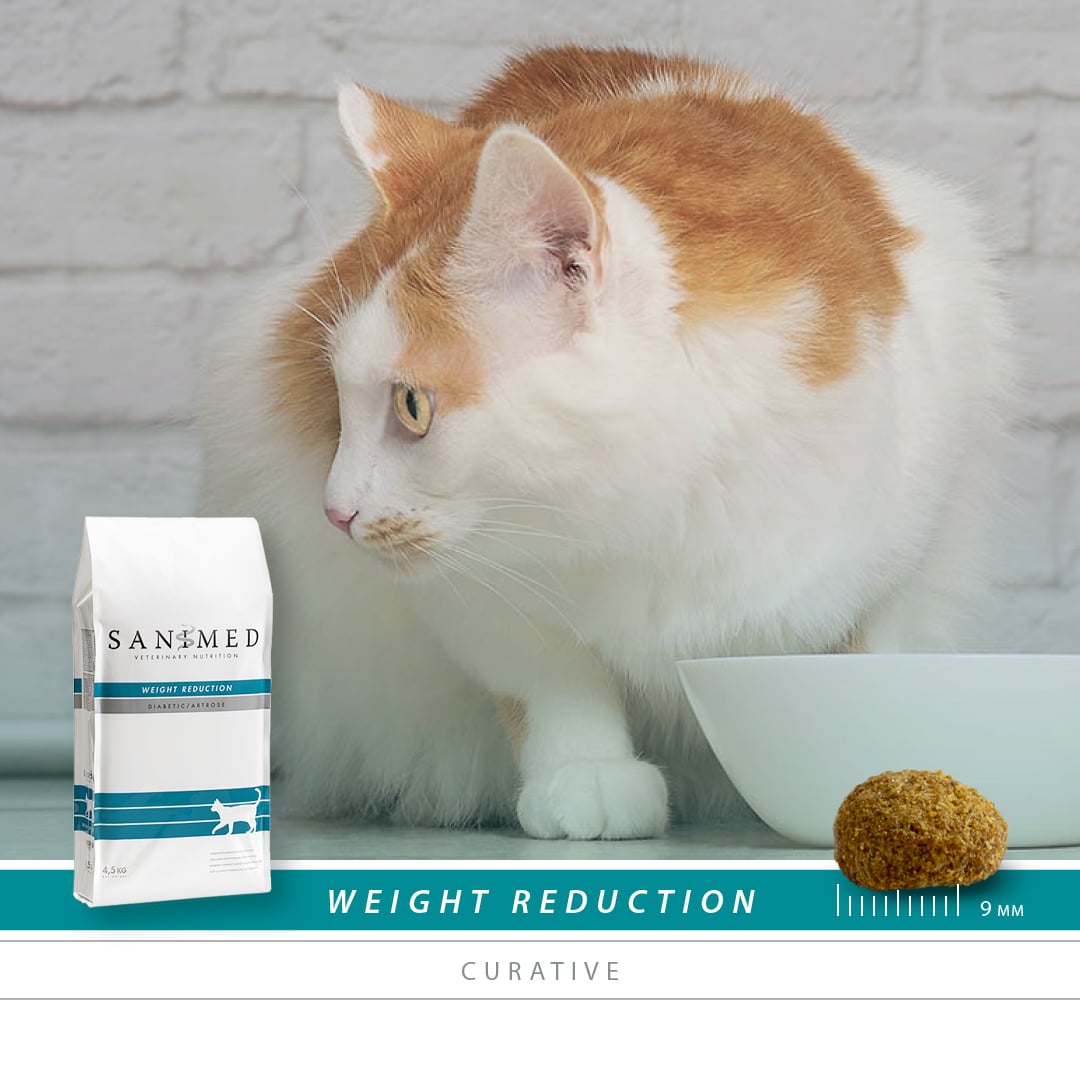 SANIMED Weight Reduction kat-4