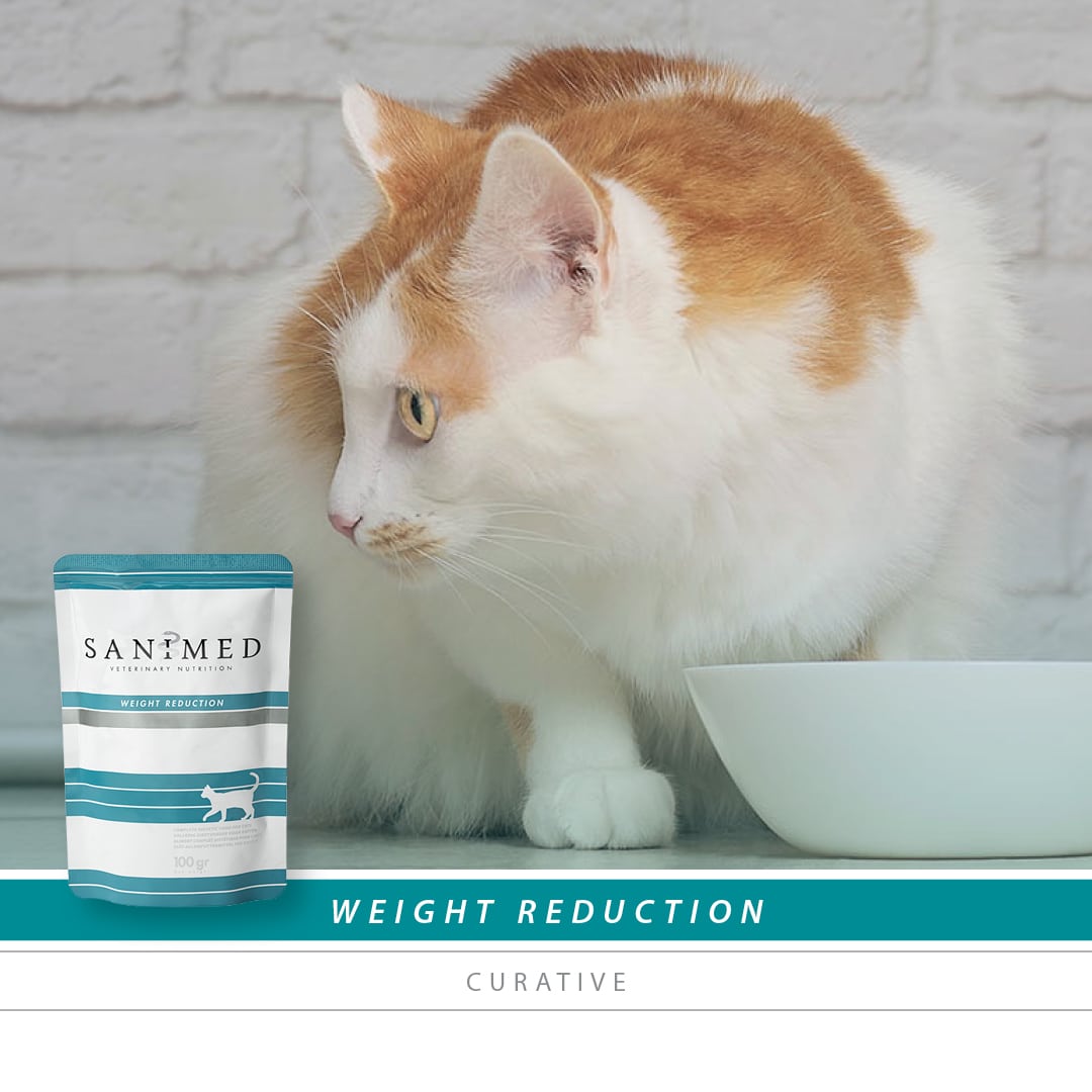 Sanimed Weight Reduction Pouch Kat-3