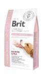 Brit_veterinary-diet-hypoallergenic-hond-2kg