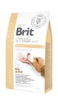 Brit_veterinary-diet-hepatic-hond-2kg