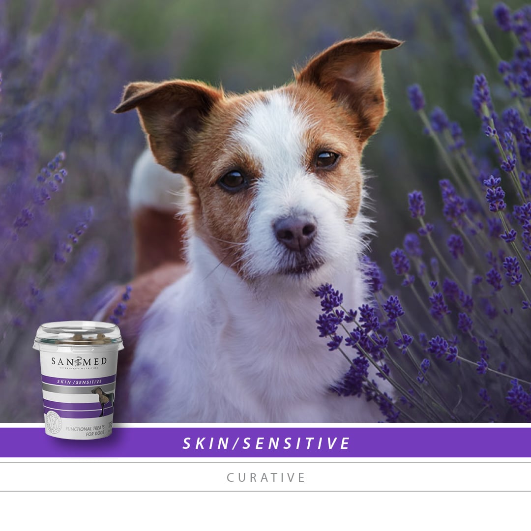Sanimed Hond Skin Sensitive Functional Treats-2