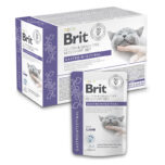 Brit_veterinary-diet-gastrointestinal-kat-pouch