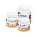 Virbac Movoflex Soft Chew Gewrichten hond gewrichtsondersteuning honden overzicht