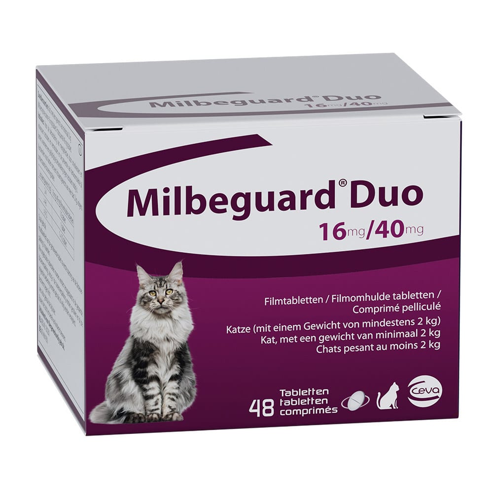 Milbeguard Duo Kat-4