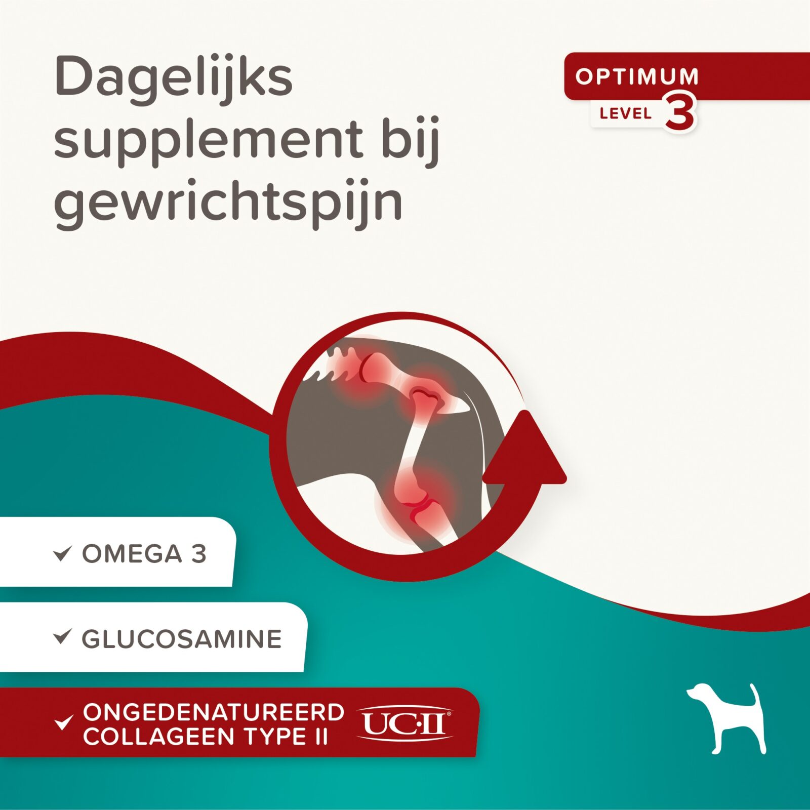 Beaphar Flexifit Chews-5