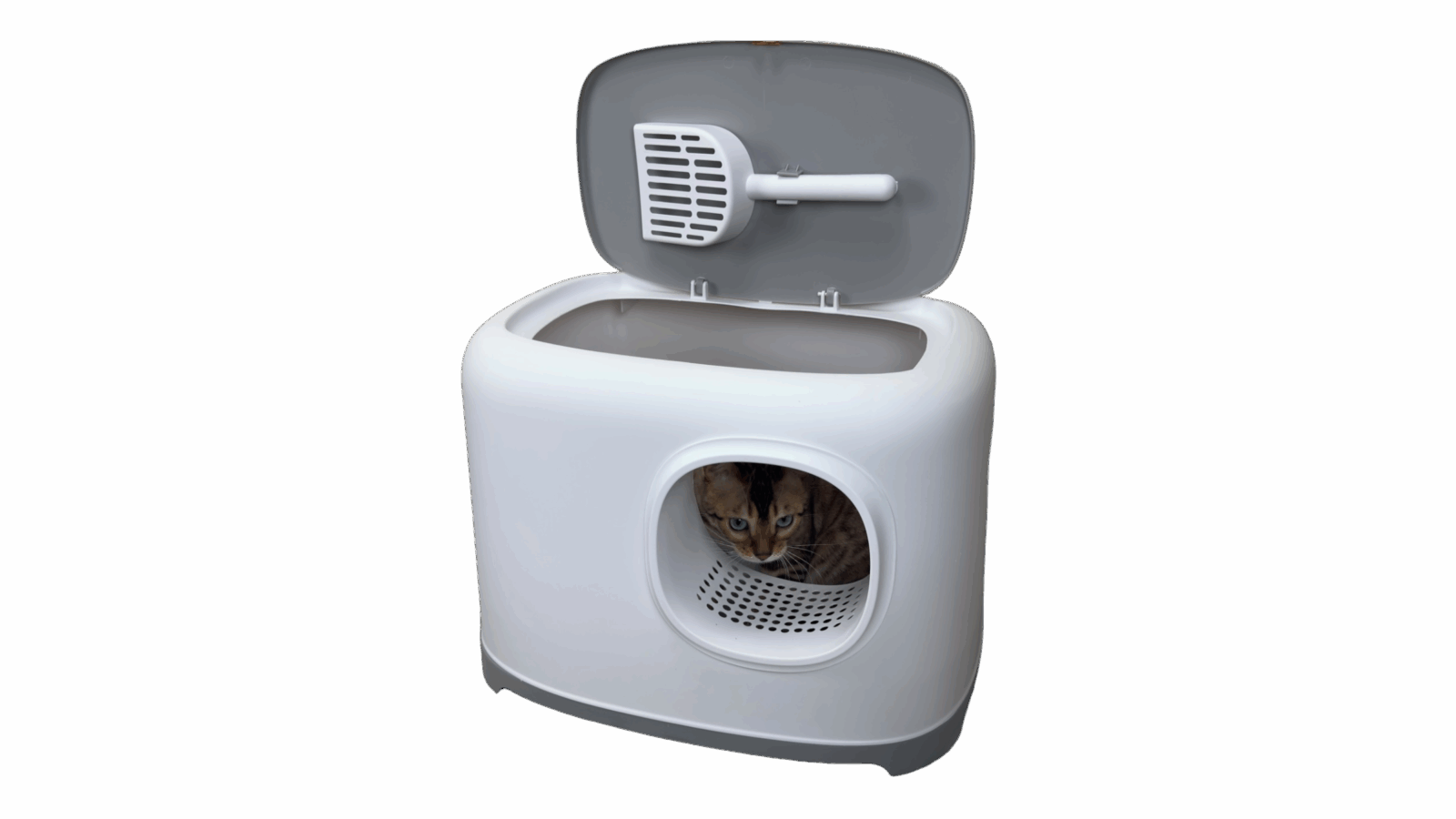 PETLUX – Clean kattenbak – Grijs / Kaki-3