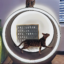 PETLUX – Looprad / Loopwiel voor kat V2 met LED