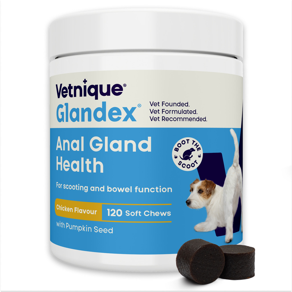 Glandex Glandex Soft Chews Kip 120 chews afbeelding