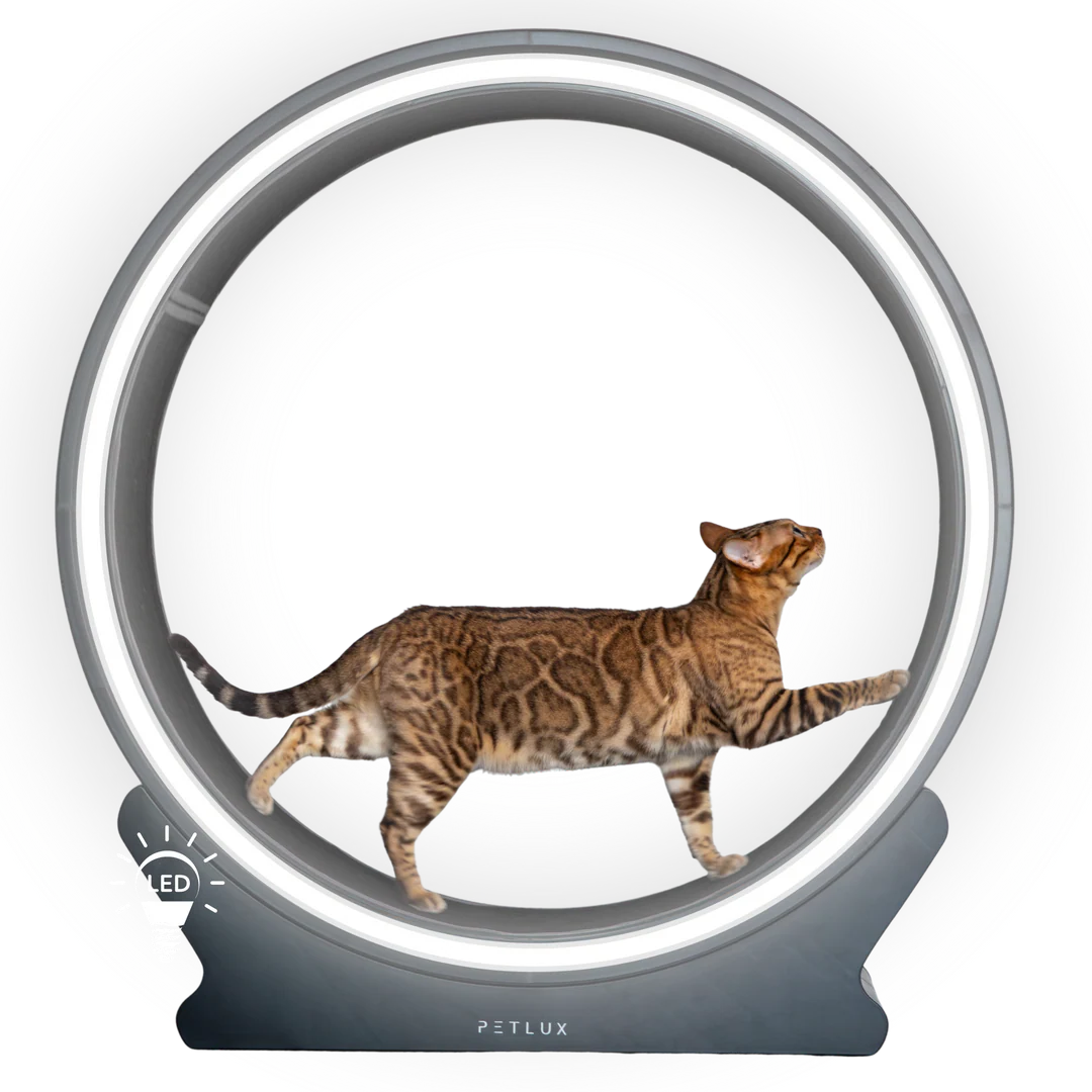 PETLUX – Looprad / Loopwiel voor kat V2 met LED-7