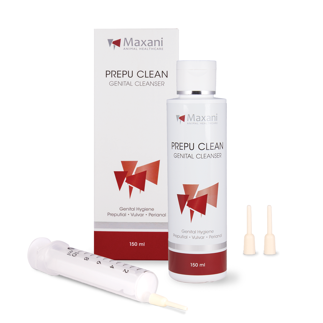 Maxani Prepu Clean-1